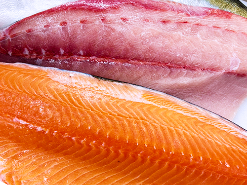 魚の切り身の写真